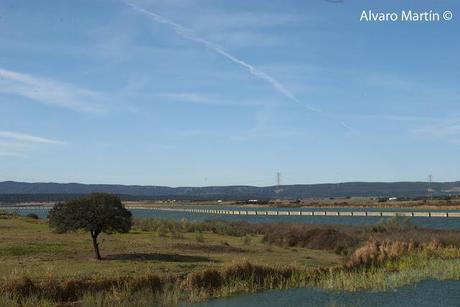 Embalse de Arrocampo, Saucedilla (Caceres) Embalse de Arrocampo, Saucedilla (Caceres)