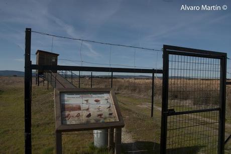 Embalse de Arrocampo, Saucedilla (Caceres) Embalse de Arrocampo, Saucedilla (Caceres)