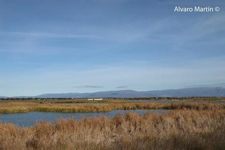 Embalse de Arrocampo, Saucedilla (Caceres) Embalse de Arrocampo, Saucedilla (Caceres)