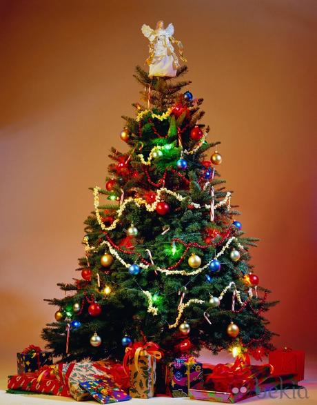 Los árboles de Navidad de Ana