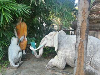 Desde Siem Reap Desde Siem Reap