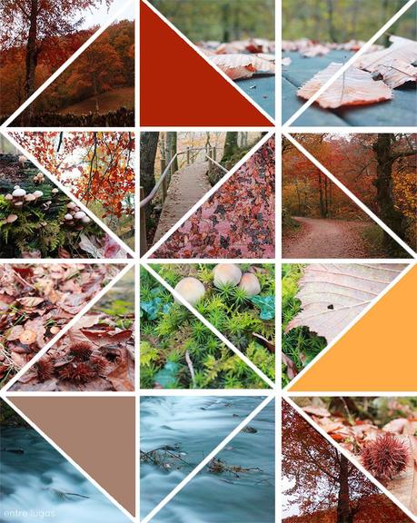 Autumn memories Autumn memories