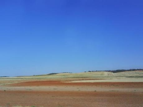 Campos de Castilla