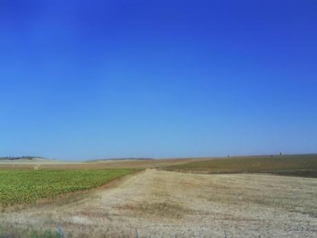 Campos de Castilla