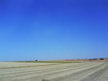 Campos de Castilla