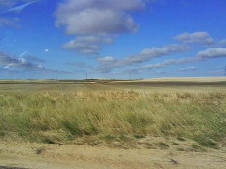 Campos de Castilla