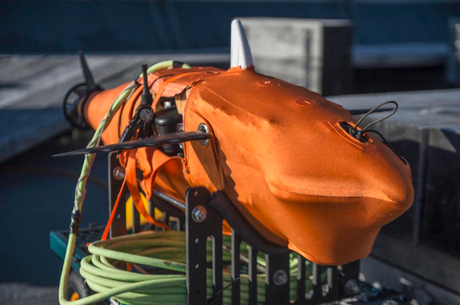La Armada de los EE.UU. prueba un “dron” parecido a un atún.