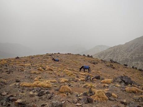 Collado de Aazib Tzikerte. Alto Atlas marroquí Collado de Aazib Tzikerte. Alto Atlas marroquí