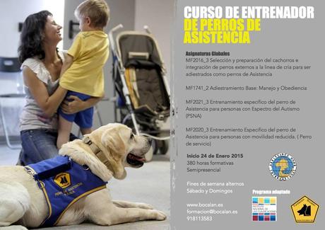 Curso de Entrenador de Perros de Asistencia