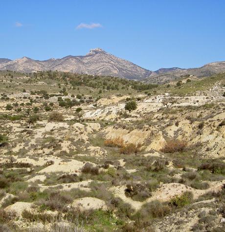 Los testares de Agost, memoria de la alfarería árabe del agua.