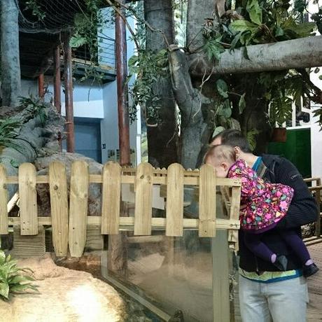 #Fotofinde: sábado de marcha #Fotofinde: sábado de marcha