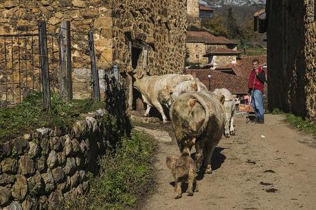 Mogrovejo, bajo los Picos Mogrovejo, Cantabria