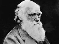 Los emprendedores, sus fracasos iniciales y sus pasiones finales Charles Darwin, el genio emprendedor que quería ser pastor