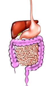 Las dietas proteicas y bajas en HdC en diabéticos aparato-digestivo2