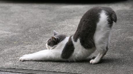 Rutina nocturna Rutina nocturna