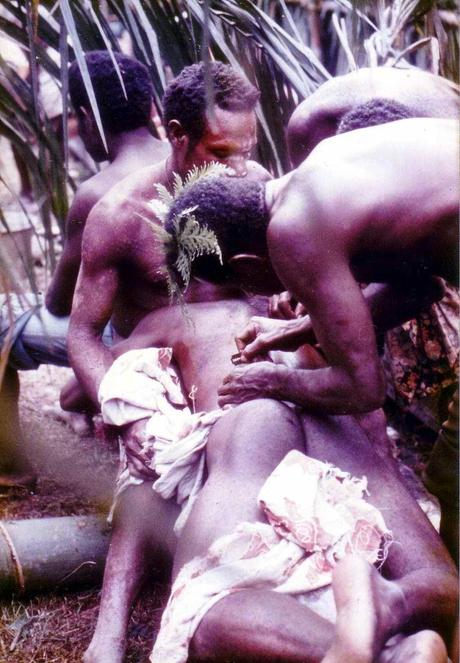 NOVATADAS E INOCENTADAS NOVATADAS E INOCENTADAS