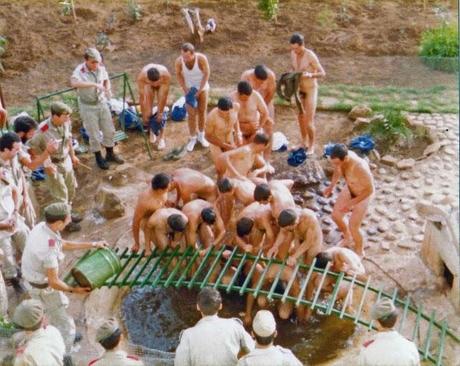 NOVATADAS E INOCENTADAS NOVATADAS E INOCENTADAS