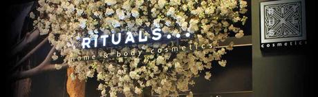 TAO DE RITUALS. TAO DE RITUALS.