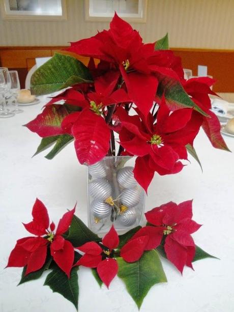 5 Cucadas en bodas navideñas 5 Cucadas en bodas navideñas