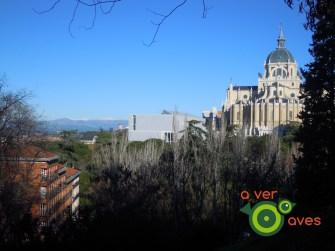 Árboles en Navidad con regalos a cero euros. Son para ti xxxxxxxxxxx