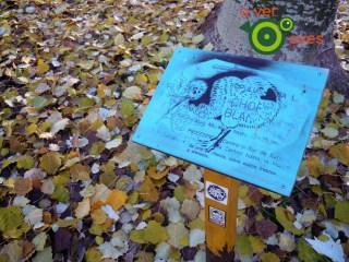 Árboles en Navidad con regalos a cero euros. Son para ti xxxxxxxxxxx