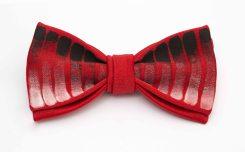 flashback2 bow tie arquimedes llorens (4)