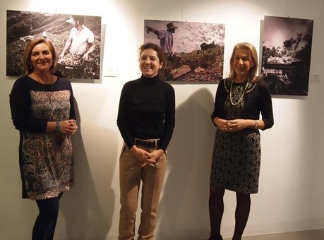 La exposición itinerante ‘La Axarquía en vendimia’ se podrá visitar en La Diputación de Málaga hasta el 16 de enero La exposición itinerante ‘La Axarquía en vendimia’ se podrá visitar en La Diputación de Málaga hasta el 16 de enero