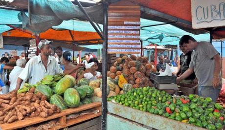 Variadas ofertas y mejores precios en Feria Agropecuaria en La Habana