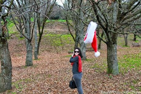 MERRY CHRISTMAS MERRY CHRISTMAS