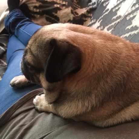 Mascarilla Iluminadora Perfect White Facialderm ( o como resplandecer en 15 min!!) /home/wpcom/public_html/wp-content/blogs.dir/fbe/26949924/files/2014/12/img_4622.jpg