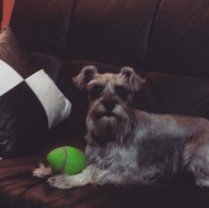 Kamila, extraviada en aeropuertoA través de la red social... Kamila, extraviada en aeropuertoA través de la red social...