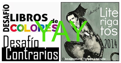 Desafíos 2014: Entre el Fail y el Win Desafíos 2014: Entre el Fail y el Win