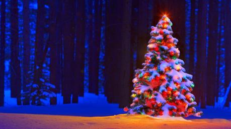 El significado del árbol de Navidad El significado del árbol de Navidad
