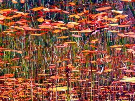 Jackson Pollock - Floresta