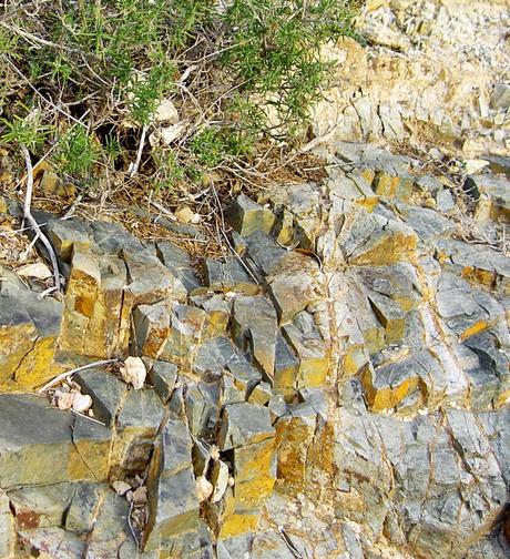 Las minas de Almendricos: enclave argárico, minas de hierro y carbonatos de cobre. Las minas de Almendricos: enclave argárico, minas de hierro y carbonatos de cobre.