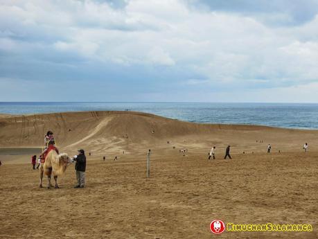 Viaje a Tottori Parte 1 /家族旅行パート１　鳥取編