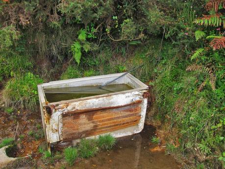 Travesia al pico Hibeo (de la Rebollada a Ardisana) Travesia al pico Hibeo (de la Rebollada a Ardisana)