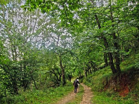 Travesia al pico Hibeo (de la Rebollada a Ardisana) Travesia al pico Hibeo (de la Rebollada a Ardisana)