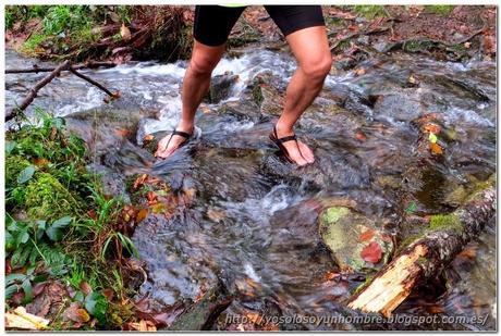 Ruta running por las Fragas del Eume o correr como un niño con sandalias nuevas