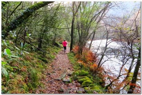 Ruta running por las Fragas del Eume o correr como un niño con sandalias nuevas