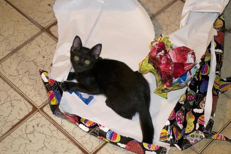 Mi navidad 2014. _DSC5154