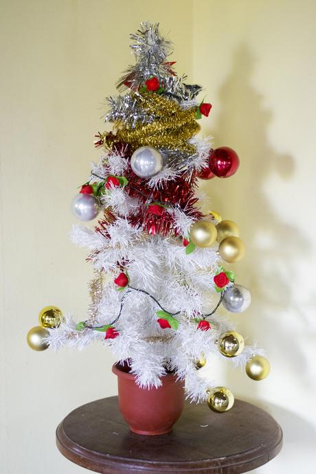 Mi navidad 2014. _DSC4920