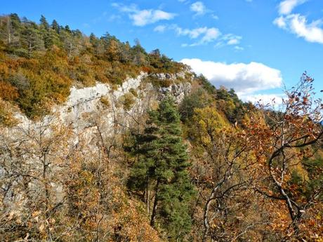 De Campdevànol a Ribes per la derecha del río Freser De Campdevànol a Ribes per la derecha del río Freser
