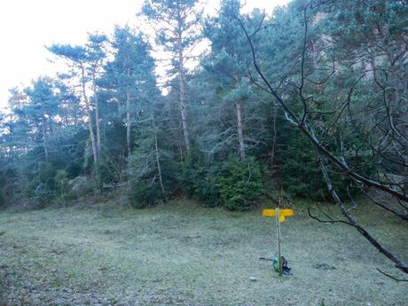 De Campdevànol a Ribes per la derecha del río Freser De Campdevànol a Ribes per la derecha del río Freser
