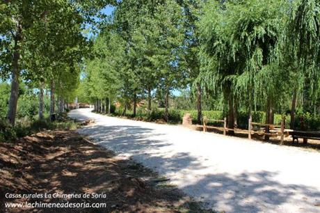 Balsa de Arauzo de Salce salce 2