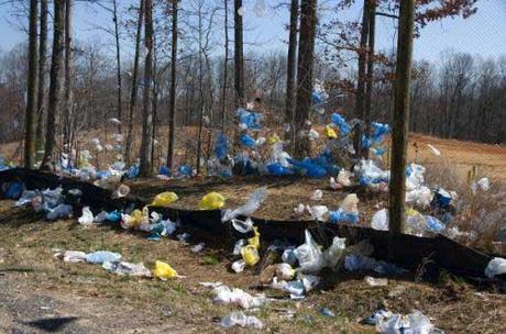 Las bolsas de plástico cerca de la prohibición