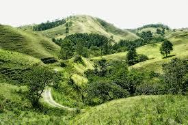 Buscan desarrollar triple destino Buscan desarrollar triple destino