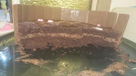 TARTA LODAZAL DE CERDITOS PARA EL 17 CUMPLEAÑOS DE AITOR TARTA LODAZAL DE CERDITOS PARA EL 17 CUMPLEAÑOS DE AITOR