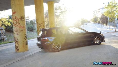 Sol lateral Civic