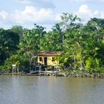 Navegando el Río Amazonas (Primera Parte)